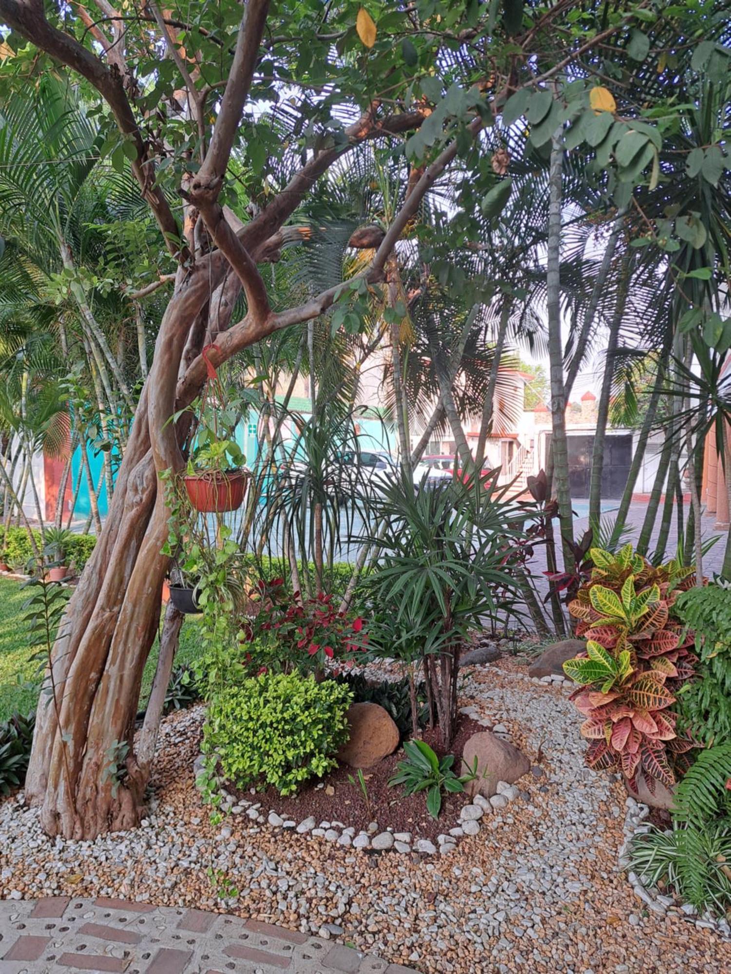 קוקויוק Hotel Quinta Paraiso מראה חיצוני תמונה